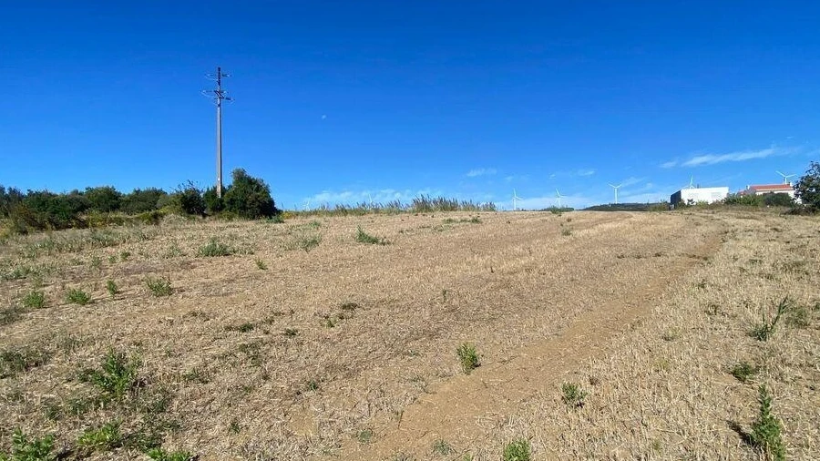 Terreno para Venda em Carvoeira e Carmões