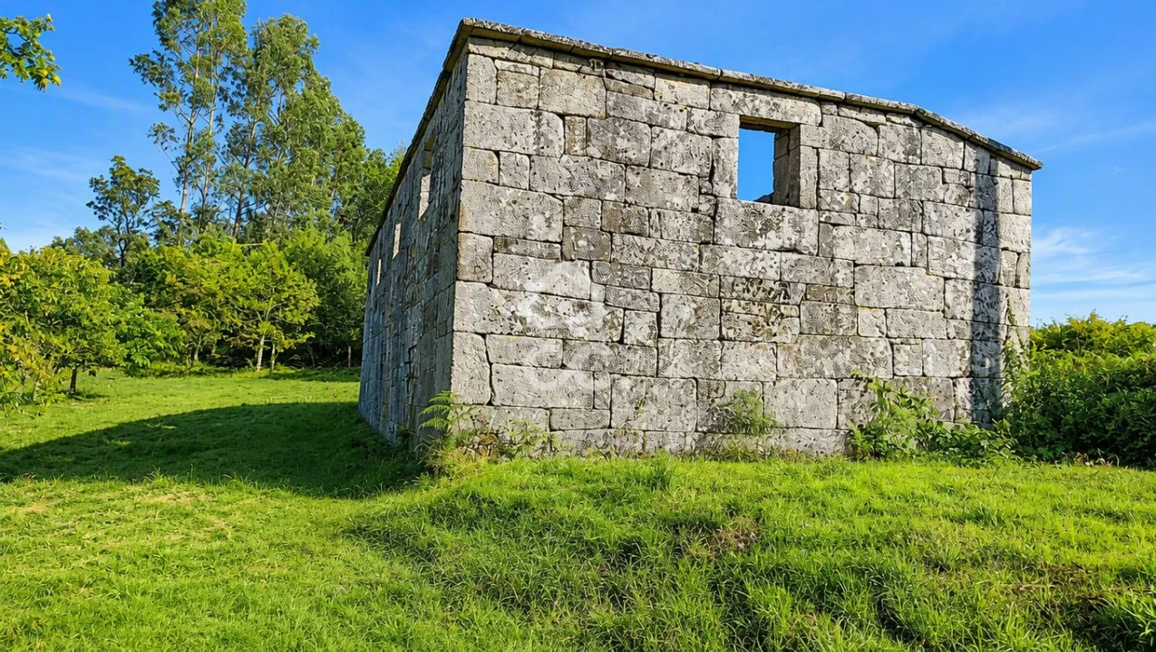 Terreno para Venda em Arca e Varzielas Foto 3