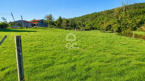 Terreno para Venda em Arca e Varzielas