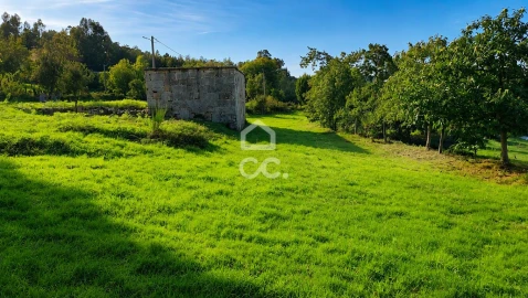 Terreno para Venda em Arca e Varzielas