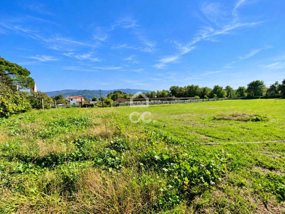 Terreno para Venda em Areias, Sequeirô, Lama e Palmeira Foto 6