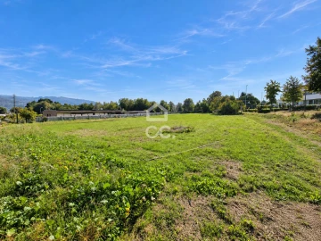 Terreno para Venda em Areias, Sequeirô, Lama e Palmeira