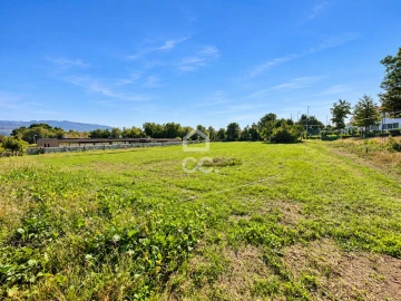 Terreno para Venda em Areias, Sequeirô, Lama e Palmeira