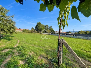 Terreno para Venda em Areias, Sequeirô, Lama e Palmeira