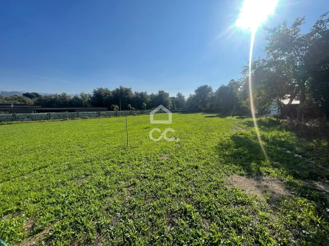 Terreno para Venda em Areias, Sequeirô, Lama e Palmeira Foto 10