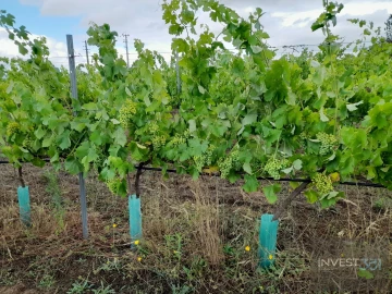 Quinta T2 para Venda em Ferro