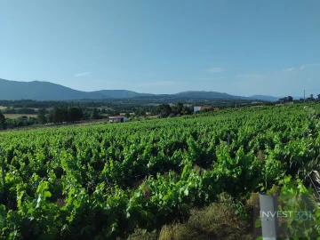 Quinta T2 para Venda em Ferro