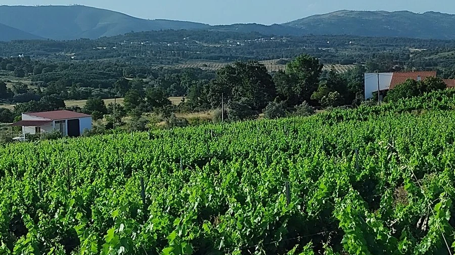 Quinta T2 para Venda em Ferro