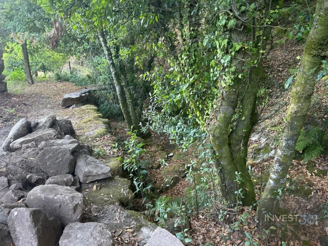 Terreno para Venda em Covas Foto 10