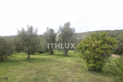 Moradia T4 para Venda em Santa Barbara de Nexe