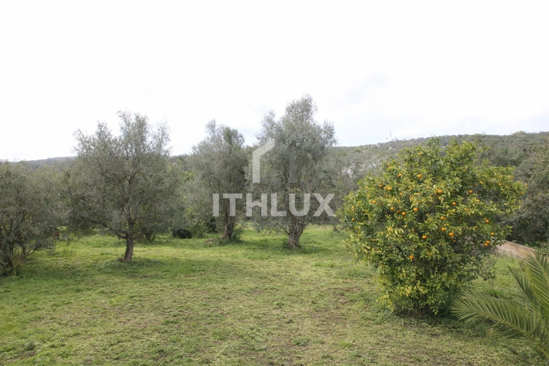 Moradia T4 para Venda em Santa Barbara de Nexe Foto 25
