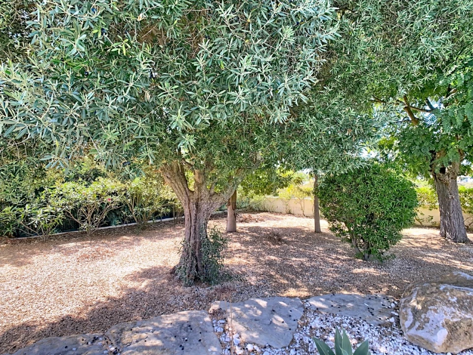 Moradia T3 para Venda em Quelfes Foto 26