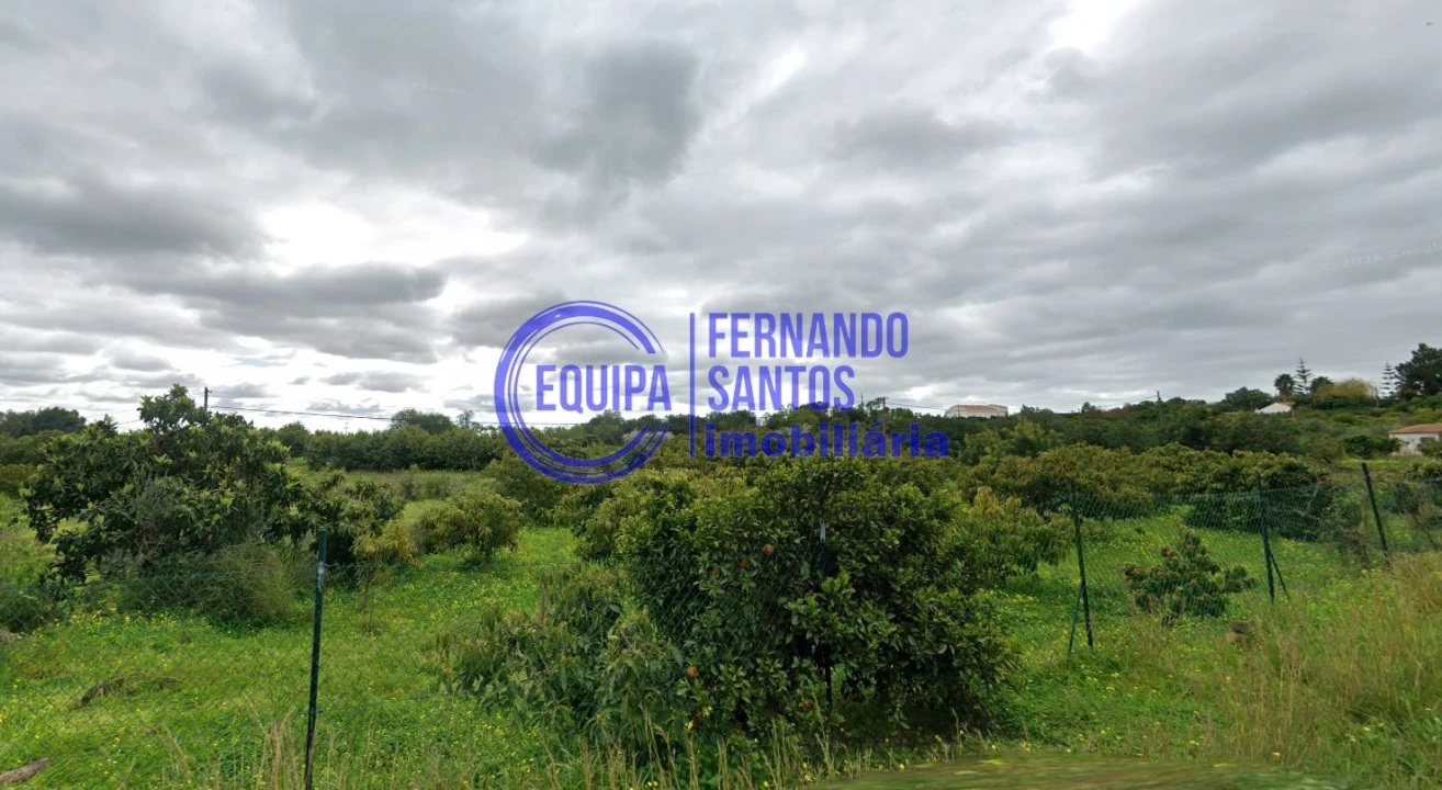 Terreno para Venda em Silves Foto 3