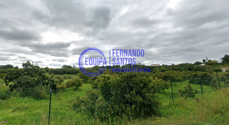 Terreno para Venda em Silves Foto 3