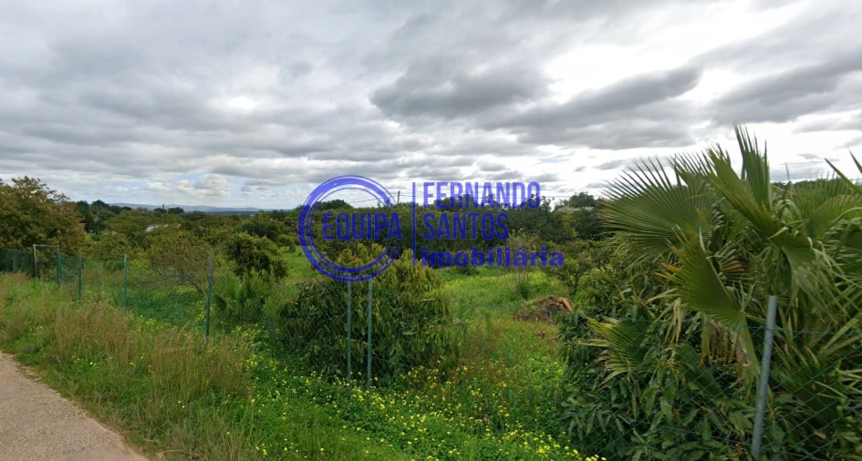 Terreno para Venda em Silves Foto 4