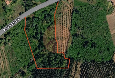 Terreno para Venda em Alvorninha