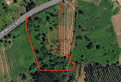Terreno para Venda em Alvorninha