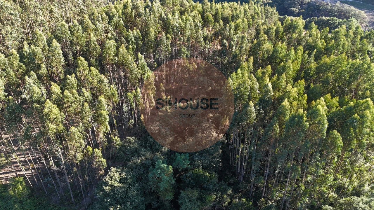 Terreno para Venda em Alvorninha Foto 3