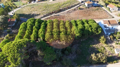 Terreno para Venda em Alvorninha