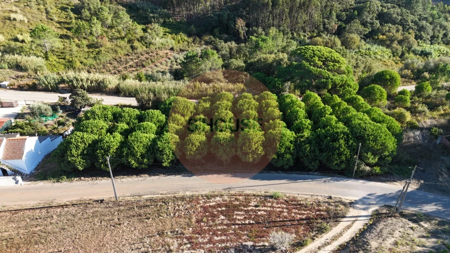 Terreno para Venda em Alvorninha Foto 3