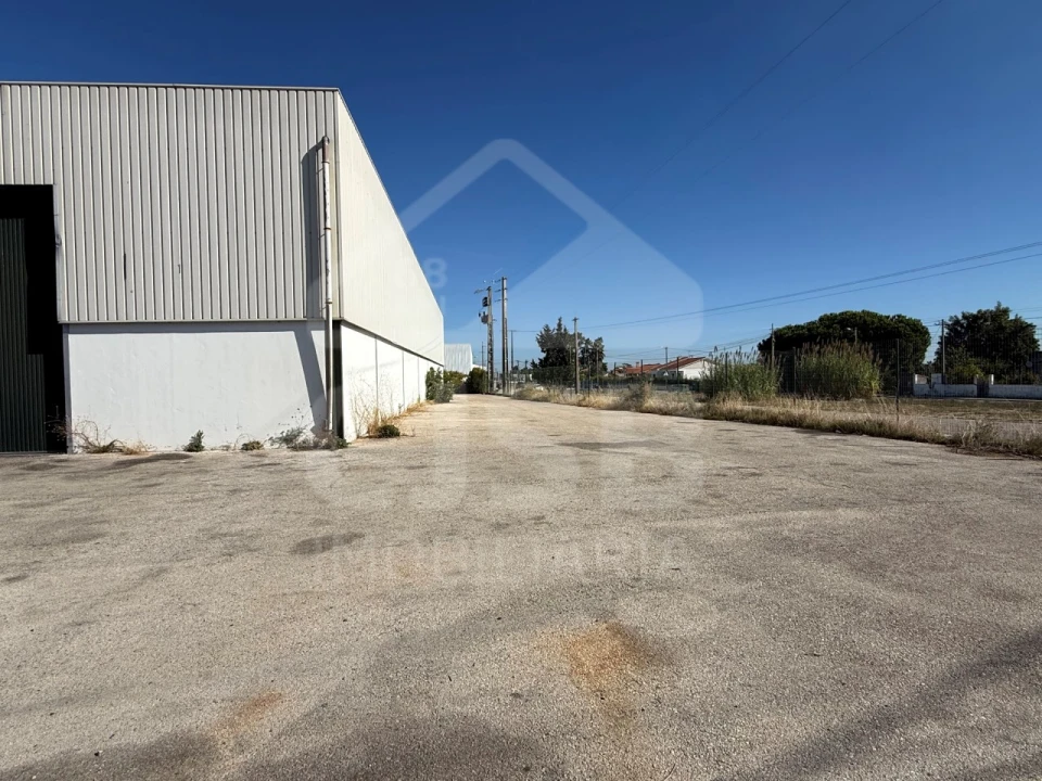 Armazém para Arrendamento em Benavente Foto 13