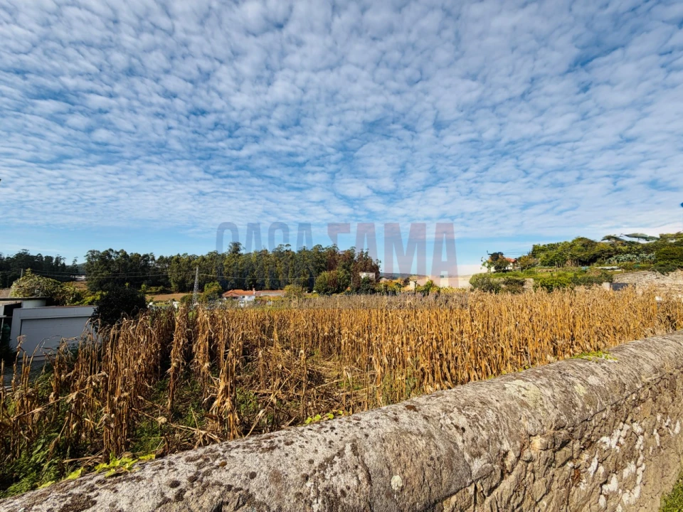 Terreno para Venda em Rio Mau e Arcos Foto 3