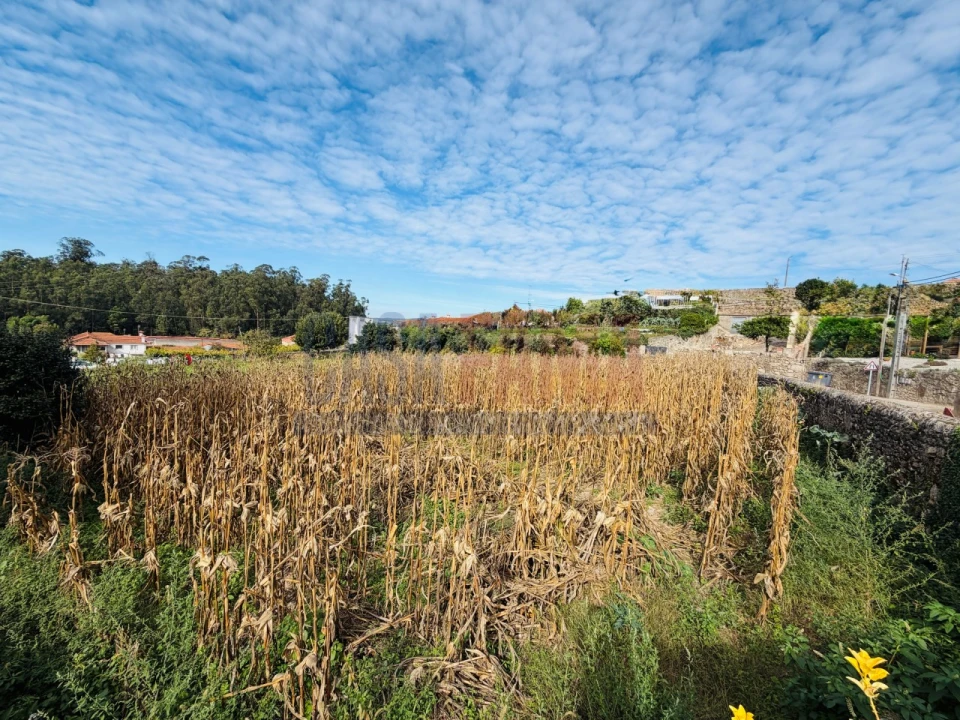 Terreno para Venda em Rio Mau e Arcos Foto 6