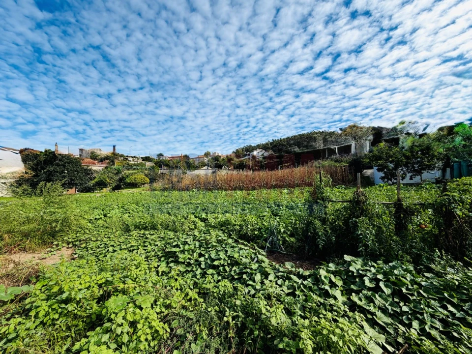 Terreno para Venda em Rio Mau e Arcos Foto 10