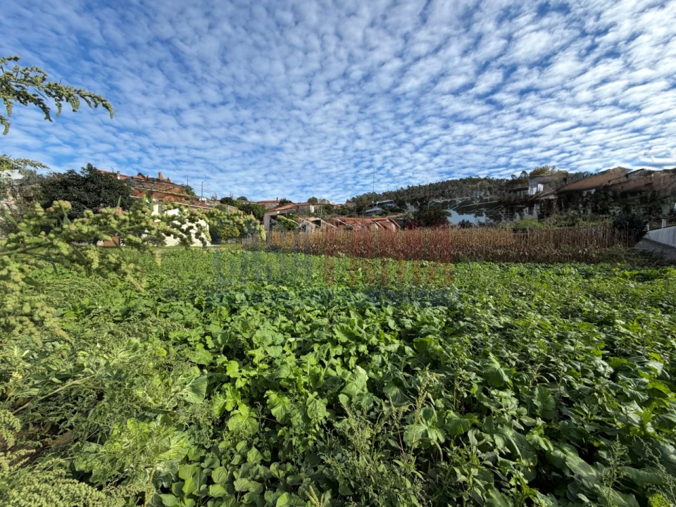 Terreno para Venda em Rio Mau e Arcos Foto 11