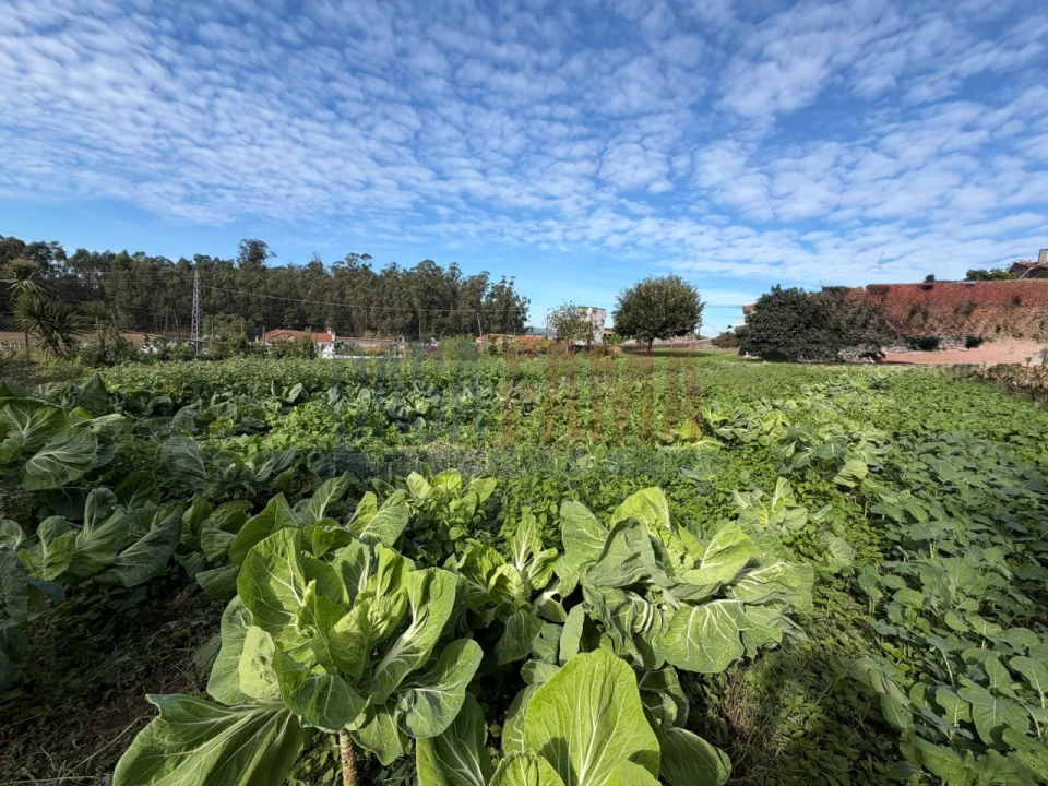 Terreno para Venda em Rio Mau e Arcos Foto 12