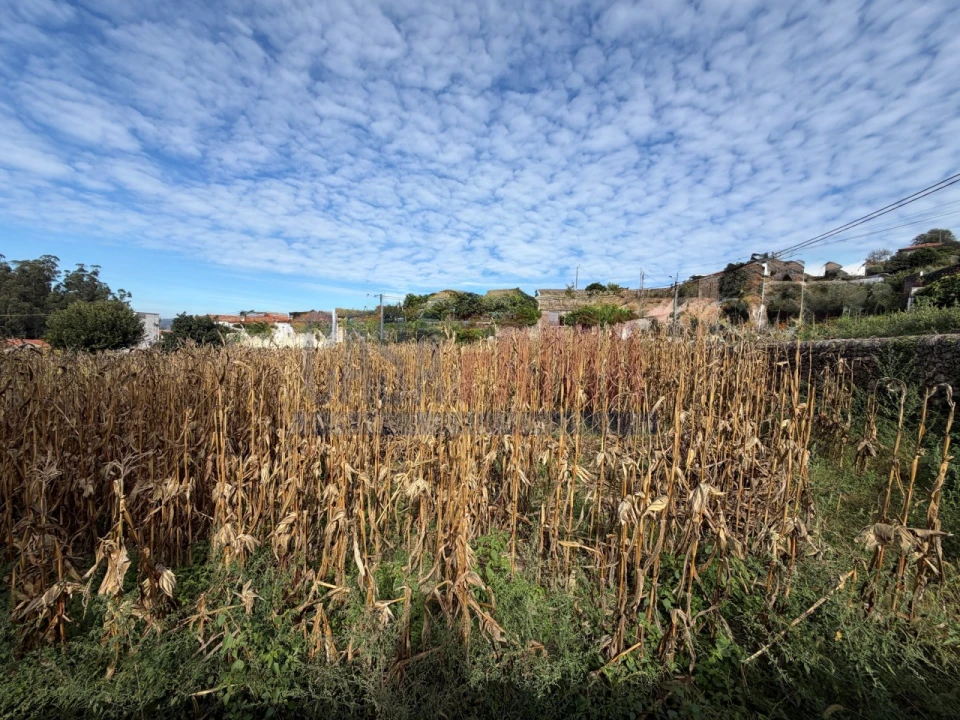 Terreno para Venda em Rio Mau e Arcos Foto 21