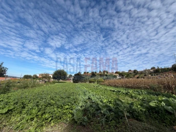 Terreno para Venda em Rio Mau e Arcos