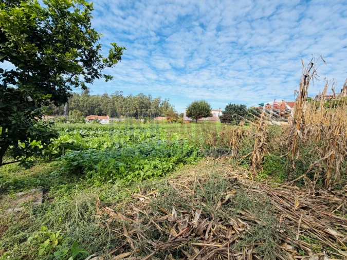 Terreno para Venda em Rio Mau e Arcos Foto 5