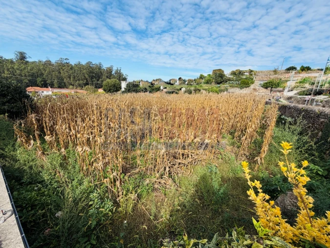 Terreno para Venda em Rio Mau e Arcos Foto 7