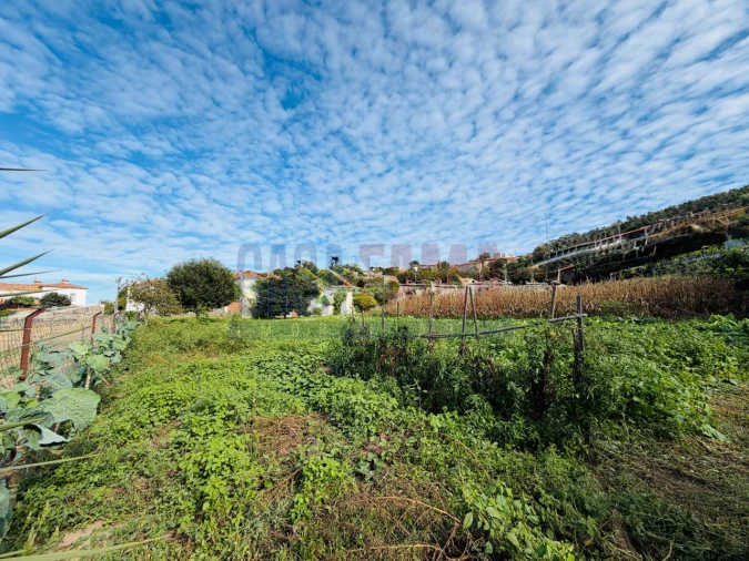 Terreno para Venda em Rio Mau e Arcos Foto 9