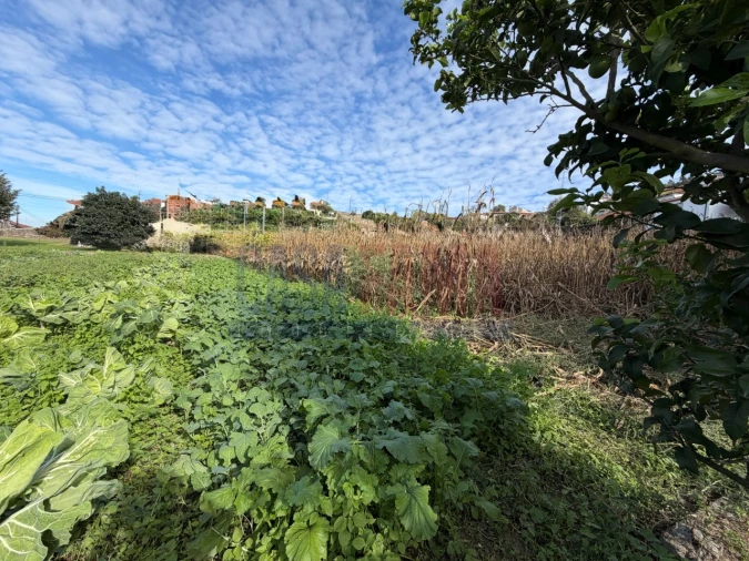 Terreno para Venda em Rio Mau e Arcos Foto 13