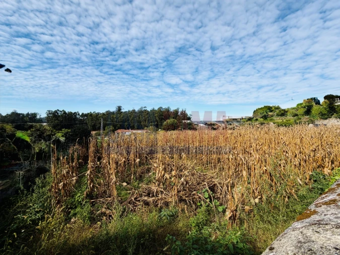 Terreno para Venda em Rio Mau e Arcos Foto 17