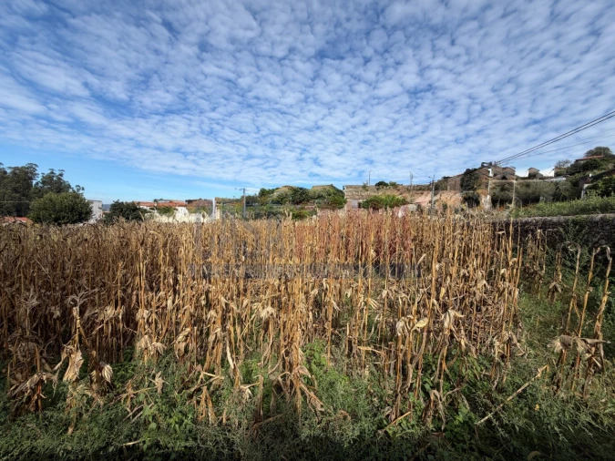 Terreno para Venda em Rio Mau e Arcos Foto 21