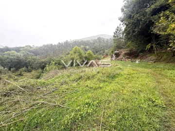 Terreno Agricola ou Rústico para Venda em Valdreu