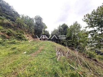 Terreno Agricola ou Rústico para Venda em Valdreu