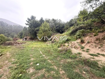 Terreno Agricola ou Rústico para Venda em Valdreu