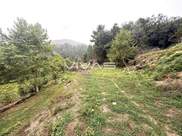 Terreno Agricola ou Rústico para Venda em Valdreu