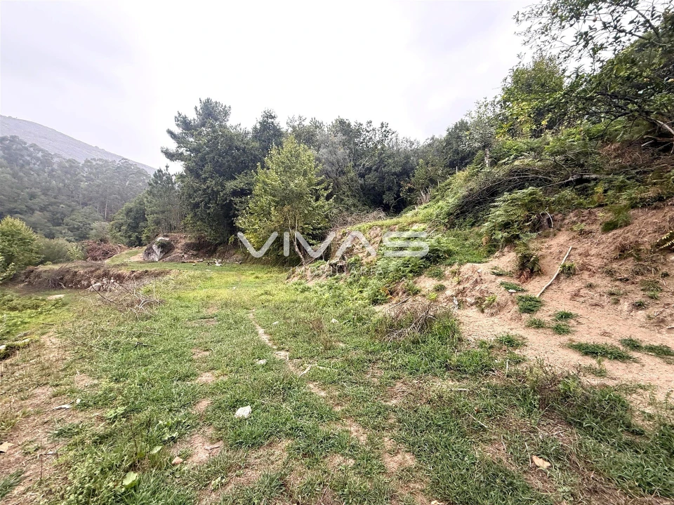 Terreno Agricola ou Rústico para Venda em Valdreu Foto 3