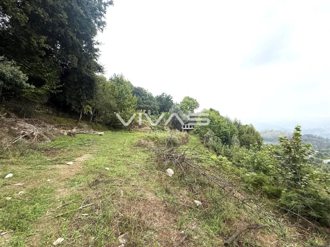 Terreno Agricola ou Rústico para Venda em Valdreu Foto 6
