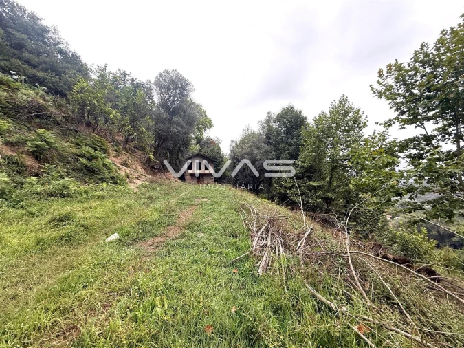 Terreno Agricola ou Rústico para Venda em Valdreu Foto 7