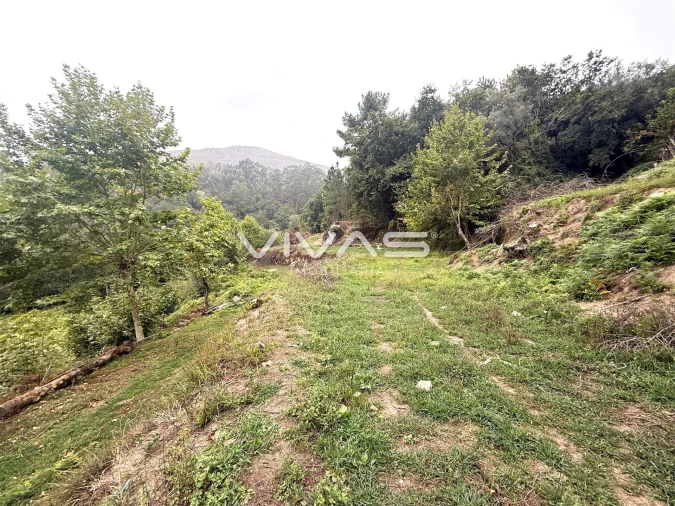 Terreno Agricola ou Rústico para Venda em Valdreu Foto 2