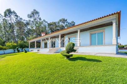 Moradia T4 para Venda em Coucieiro