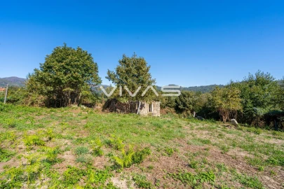 Moradia T0 para Venda em Pico