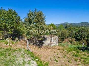 Moradia T0 para Venda em Pico