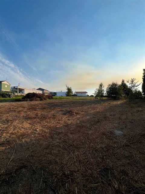 Terreno para Venda em Irivo